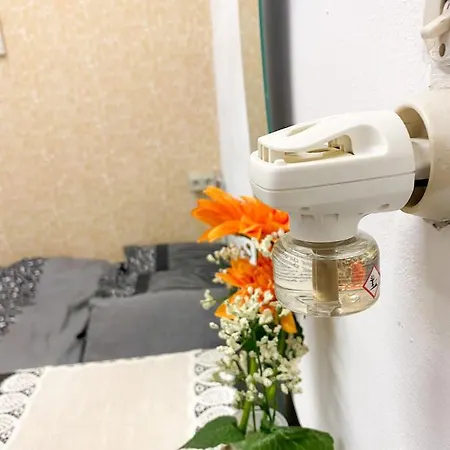 Budget Stay For Max 2Ppl * Antwerpen
